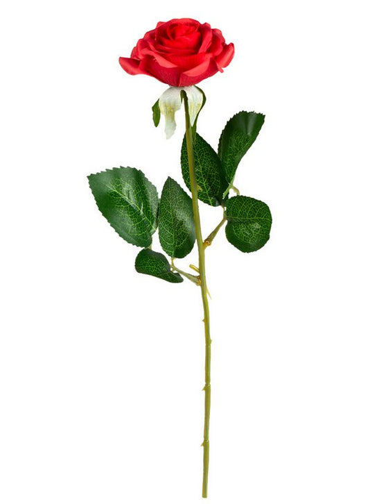 Rose rouge