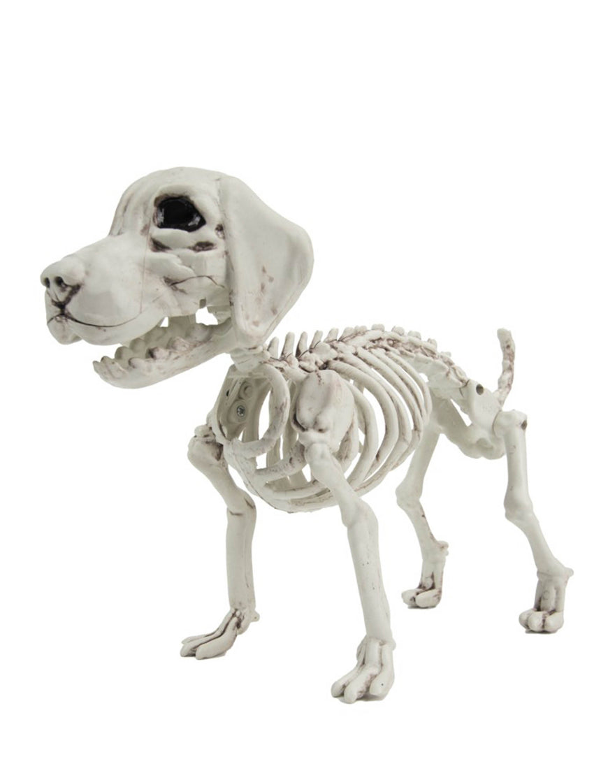 Squelette de Chien 26cm