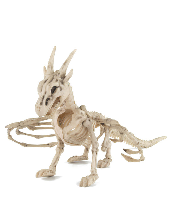 Squelette de dragon 35cm