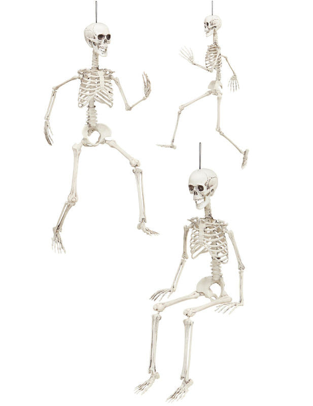 Squelette articulé 90 cm Halloween