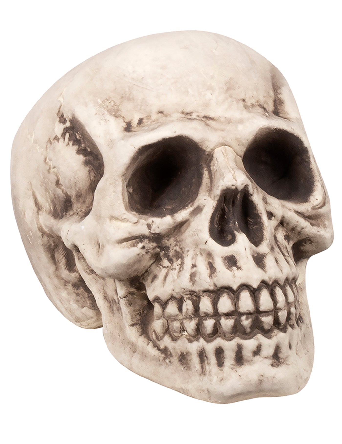 Tête de mort 23 x 22 x 31 cm