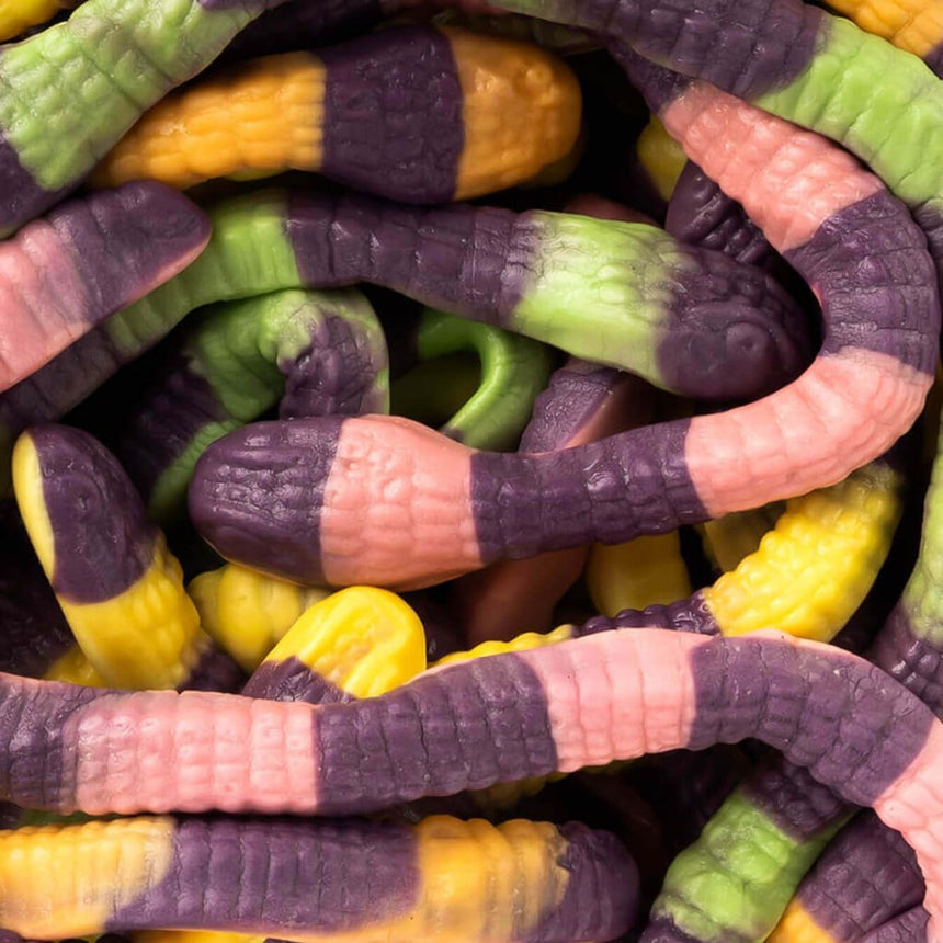 Vidal Anacondas